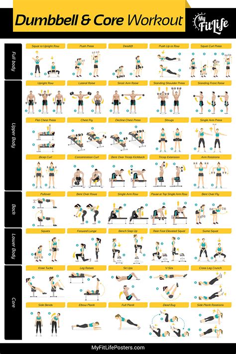 Buy Gym Dumbbell and Core Workout Laminated :: Illustrated Guide with ...