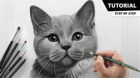 How to Draw Realistic Cat for BEGINNERS | Fur Drawing Technique - YouTube