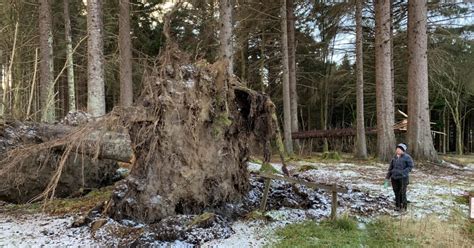 Storm damage: one year on | National Trust for Scotland