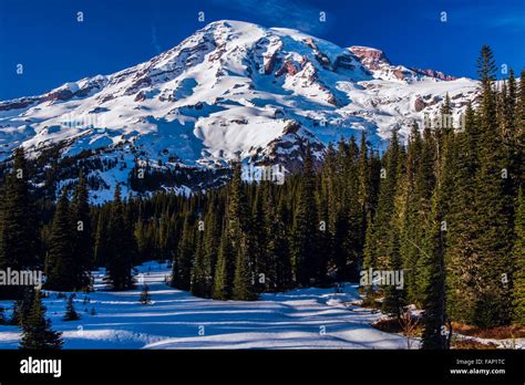 Mount Rainier during winter in the Paradise area of Mount Rainier ...