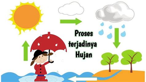 Gambar Proses Terjadinya Hujan Kelas 3 Sd Soal Dan Jawaban Siklus Air ...