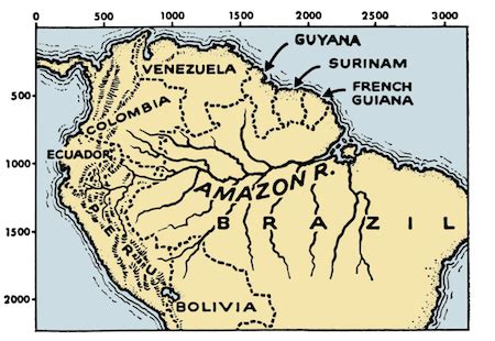 Amazon River | Facts, Location & Characteristics - Lesson | Study.com