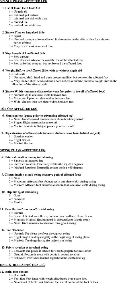 Visual Gait Assessment Scale