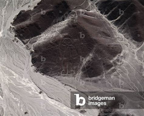 Aerial view of Nazca Lines representing a human figure (photography, 1983)