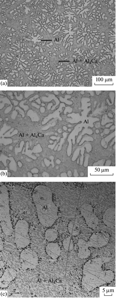 Microstructure (OM) of the initial Al-2.5 at % Ca binary alloy: (a ...