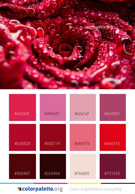 Amaranth color palette