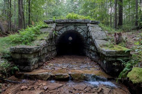 Hiking the Railroad Arch Trail in Buchanan State Forest to Amazing ...