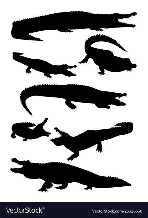 Crocodile silhouette Royalty Free Vector Image