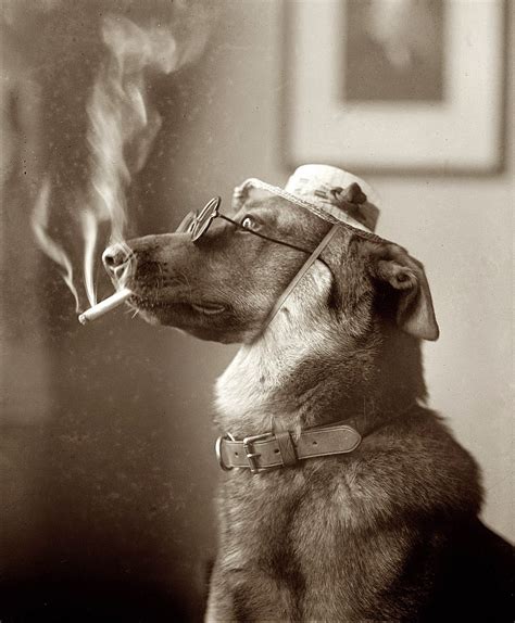 Dog Smoking, 1923 ~ vintage everyday