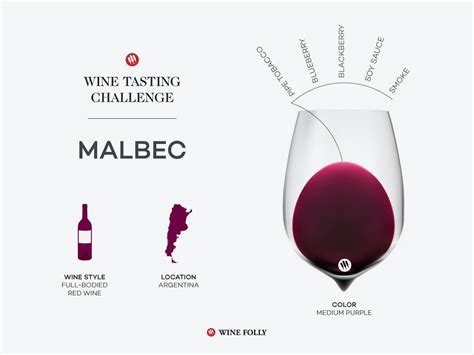 Tasting Challenge: Argentina’s Adopted Child, Malbec - Wine Oceans