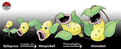 Weepinbell Pokemon