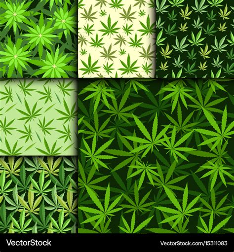 Green marijuana background Royalty Free Vector Image