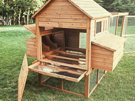 Chicken Coop Designs