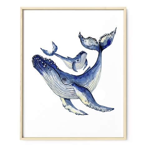 Humpback Whale Illustration