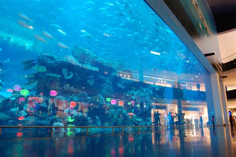 Dubai Aquarium & Underwater Zoo is one of the largest aquariums in the ...