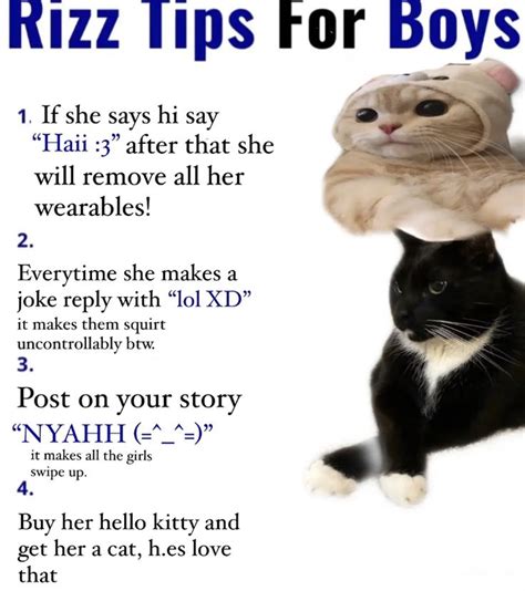 w rizz tips | Silly memes, Funny images, Stupid memes