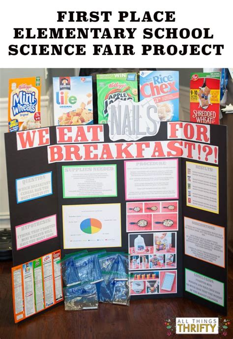 Science Fair Project Ideas for 5th Graders-2 copy | All Things Thrifty