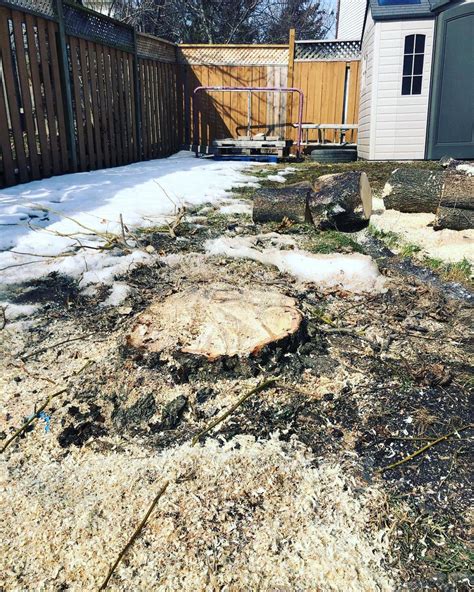 Stump Removal Services - Springman Canada Inc