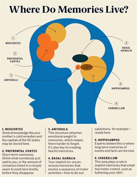 Human Memory, Brain Memory, Emotional Weight, Mental And Emotional ...