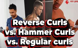 Reverse Curls vs. Hammer Curls vs. Regular Curls: All You Need to Know ...