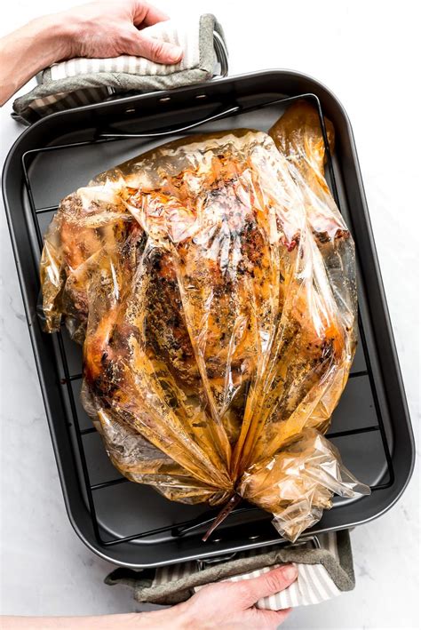 Download Best Turkey Recipe Oven Bag Pictures - Backpacker News