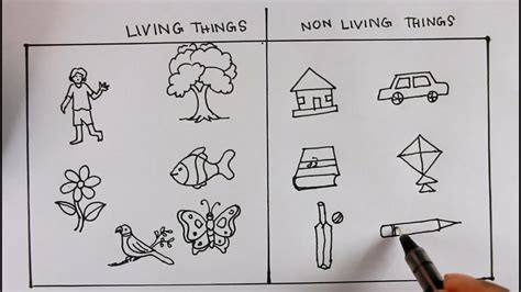 How TO Draw Living Things And Nonliving Things/For Science Project ...