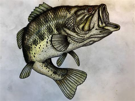 Almost done with a largemouth bass painting. : r/Fishing