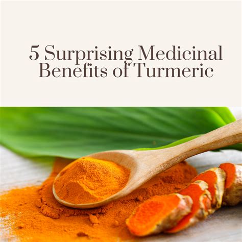 5 Surprising Medicinal Benefits of Turmeric – Wild Yarrow Herbal ...