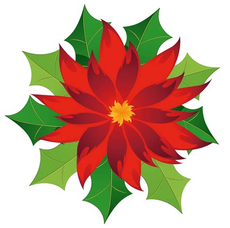 Poinsettia Clip art - Christmas Poinsettia Clipart png download - 1807* ...