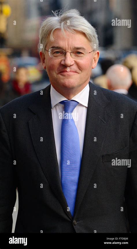 Andrew Mitchell MP outside the Royal Courts of Justice Stock Photo - Alamy