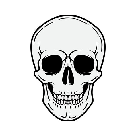 Human skull. Front view. Vector black and white hand drawn illustration ...