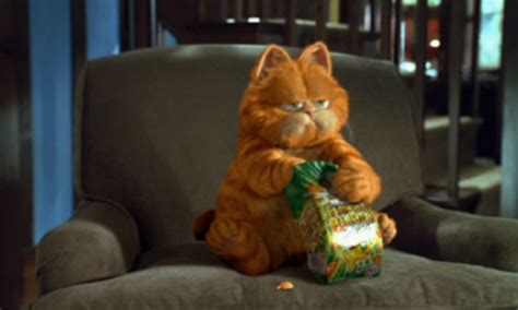 Garfield The Movie