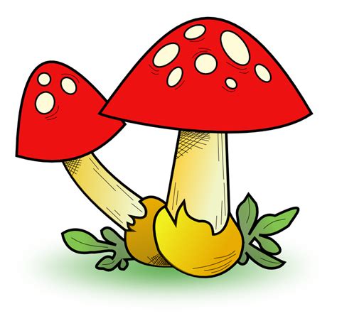 Mushroom Cartoon - ClipArt Best