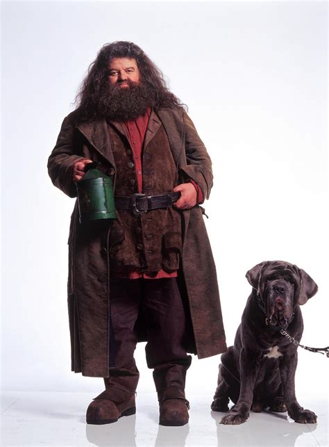 Hagrid and Fang (Harry Potter) | Rubeus hagrid, Harry potter movies ...