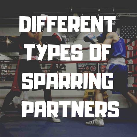 10 Types of Sparring Partners | Sparring partner, Sparring, Partners