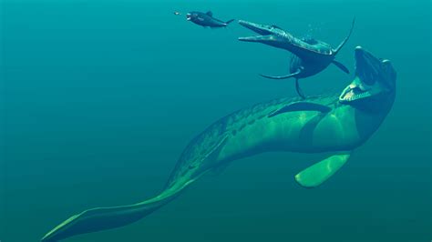 Mosasaurus and other mosasaurs of the dinosaur age | Live Science