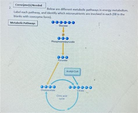 Solved Coenzyme(s) Needed 2. Below are different metabolic | Chegg.com