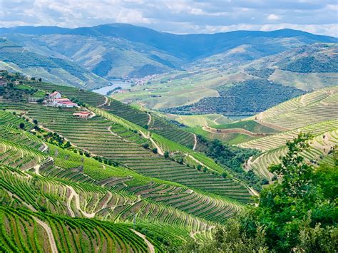 Douro Valley: Tips And Things To Know | Geeky Explorer