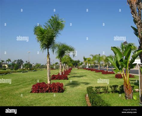 The garden in the royal palace, Rabat, Morocco Stock Photo - Alamy