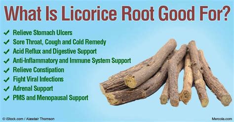 What Causes Asthma | Licorice root, Licorice, Licorice root benefits