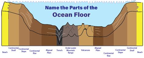 Diagram of the Ocean Floor