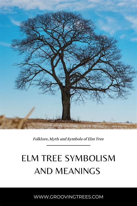 The Elm Tree: Symbolism and Meaning | Elm tree, Elm, Tree