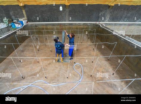 Luannan County, China - March 24, 2023: Workers cleaning the red finned ...