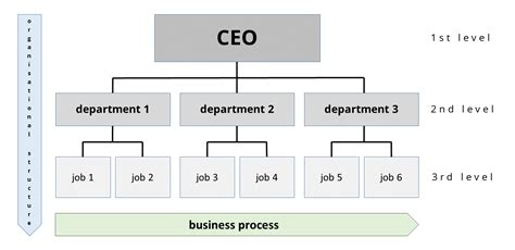 Organizational Chart: Definition, Examples & Templates