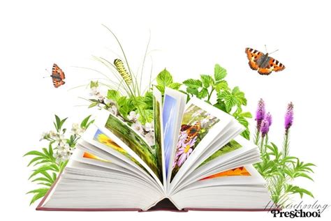 Books About Insects for Preschoolers - Homeschooling Preschool