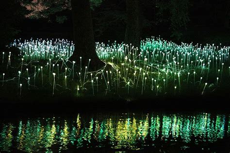 Le jardin des lucioles (avec images) | Installation d'art de lumière ...