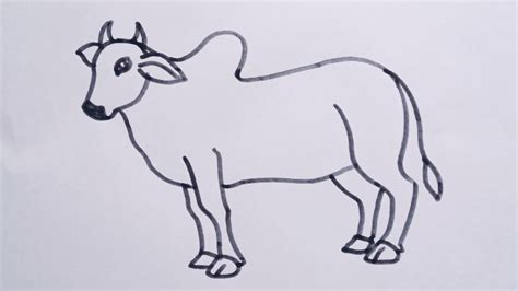 Bull Drawing