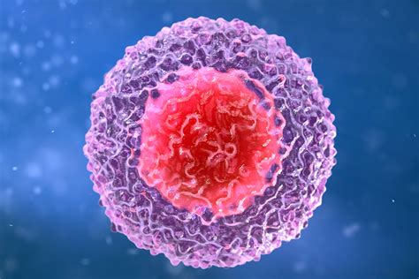 When To Worry About Low Lymphocytes