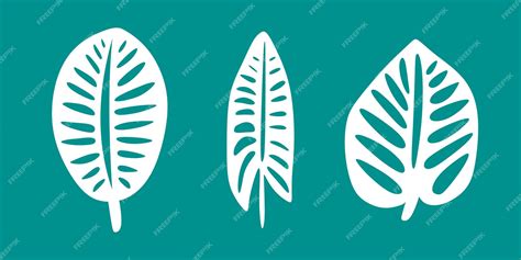 Premium Vector | Vector various tropical leaves set