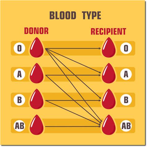 Blood Donor Chart - everythingherbs